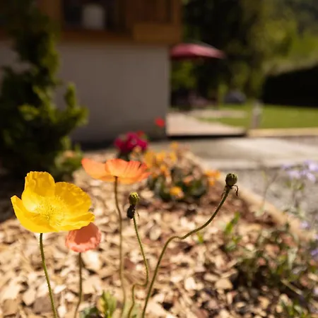Pierre D Anatase Chalet Saint-Gervais-les-Bains